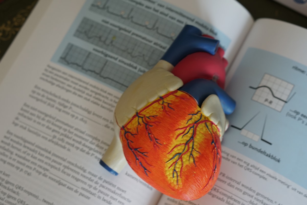 Stress and heart health connection